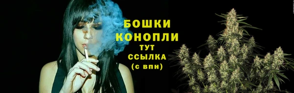 PSILOCYBIN Богородицк